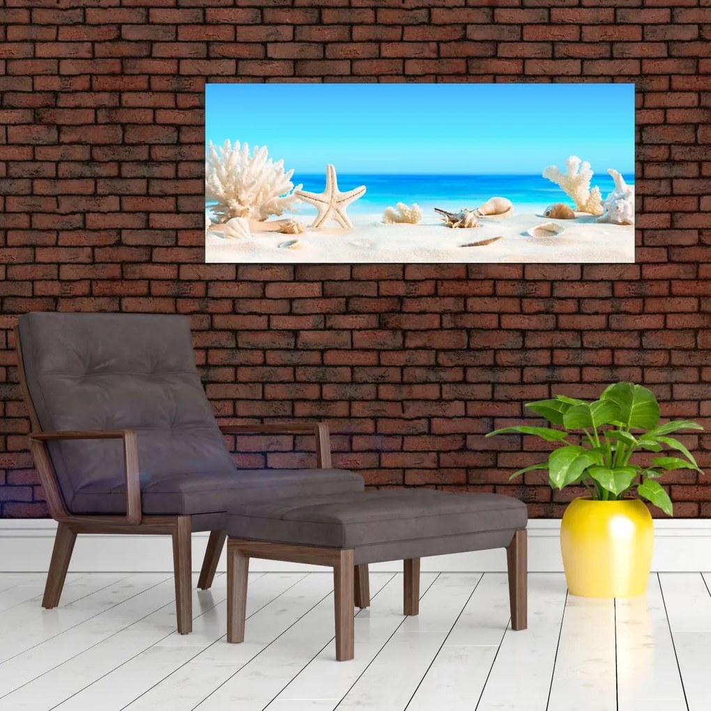 Tablou - Natura morta cu scoici (120x50 cm)