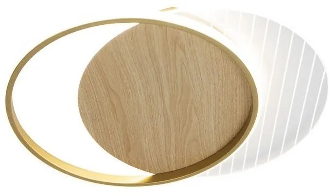 Plafonieră LED dimabilă LED/60W/230V 3000-6500K + telecomandă