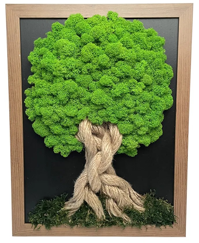 Copac unic cu mușchi - cadru maro închis 34 x 44 cm