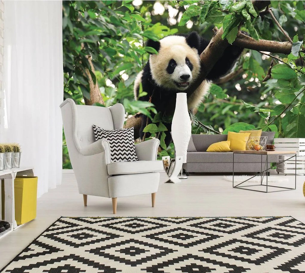 Fototapet - Panda în copac (254x184 cm)