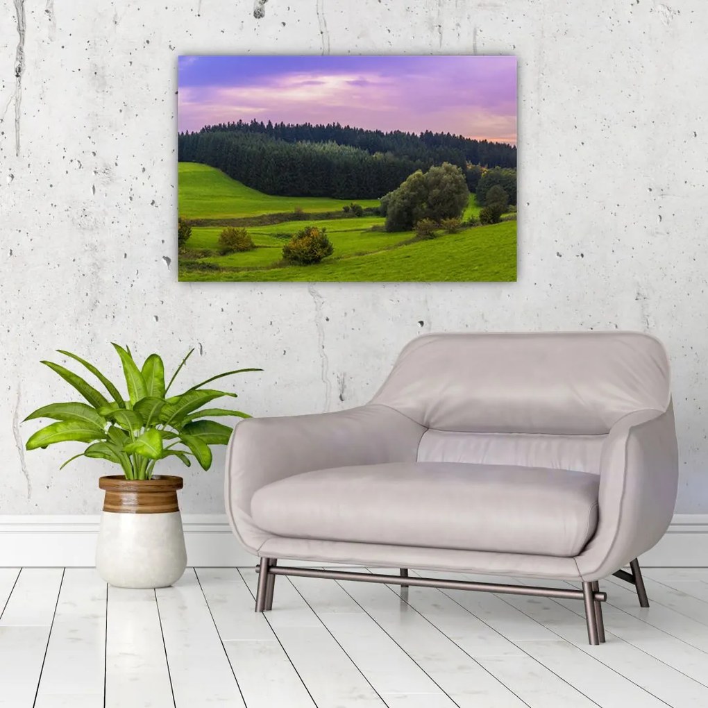 Tablou cu lunca (90x60 cm)
