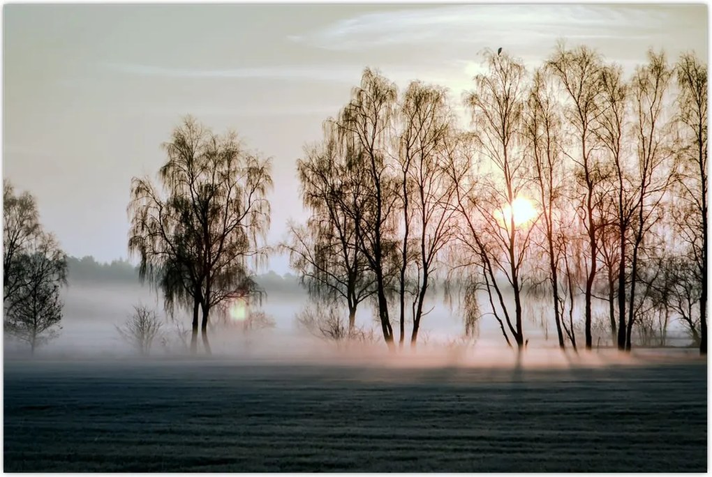 Tablou - Dimineața mohorâtă (90x60 cm)