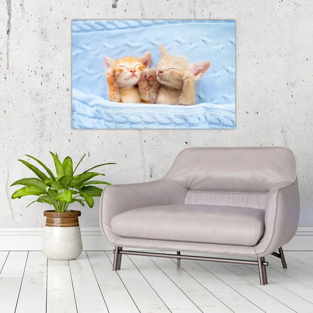 Tablou - Pisicuțe adormite (90x60 cm)