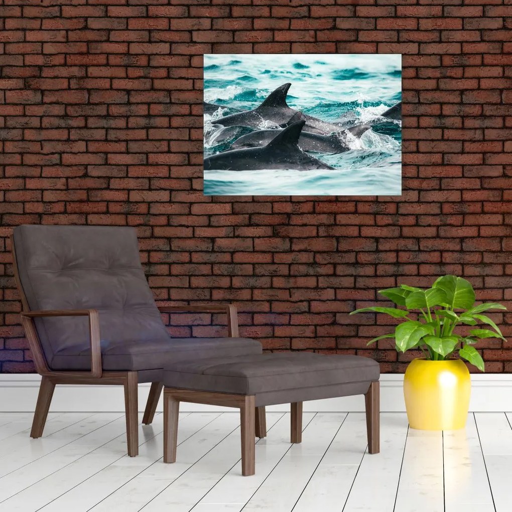 Tablou pe sticlă - Delfini în ocean (70x50 cm)