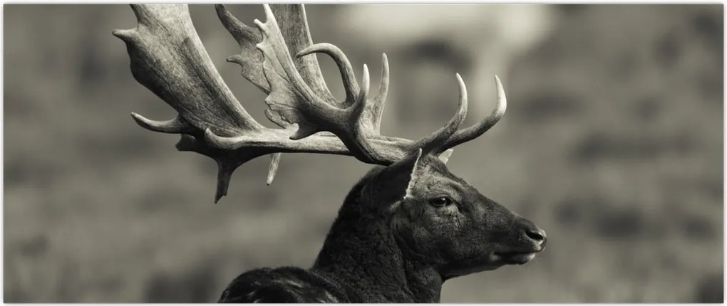 Tablou - Cerb (120x50 cm)