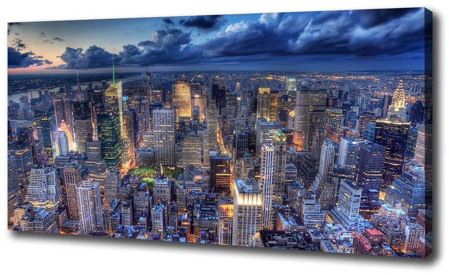 Tablou pe pânză canvas New york pasăre de zbor