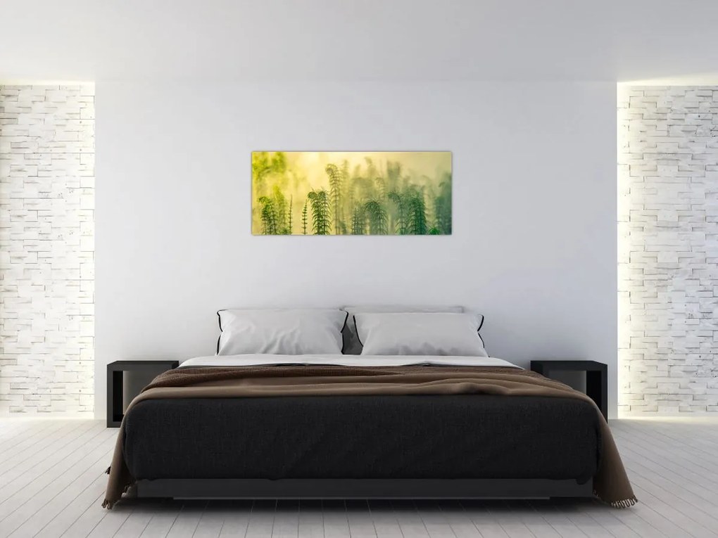 Tablou - Detaliu de primăvară natura cețoasă (120x50 cm)