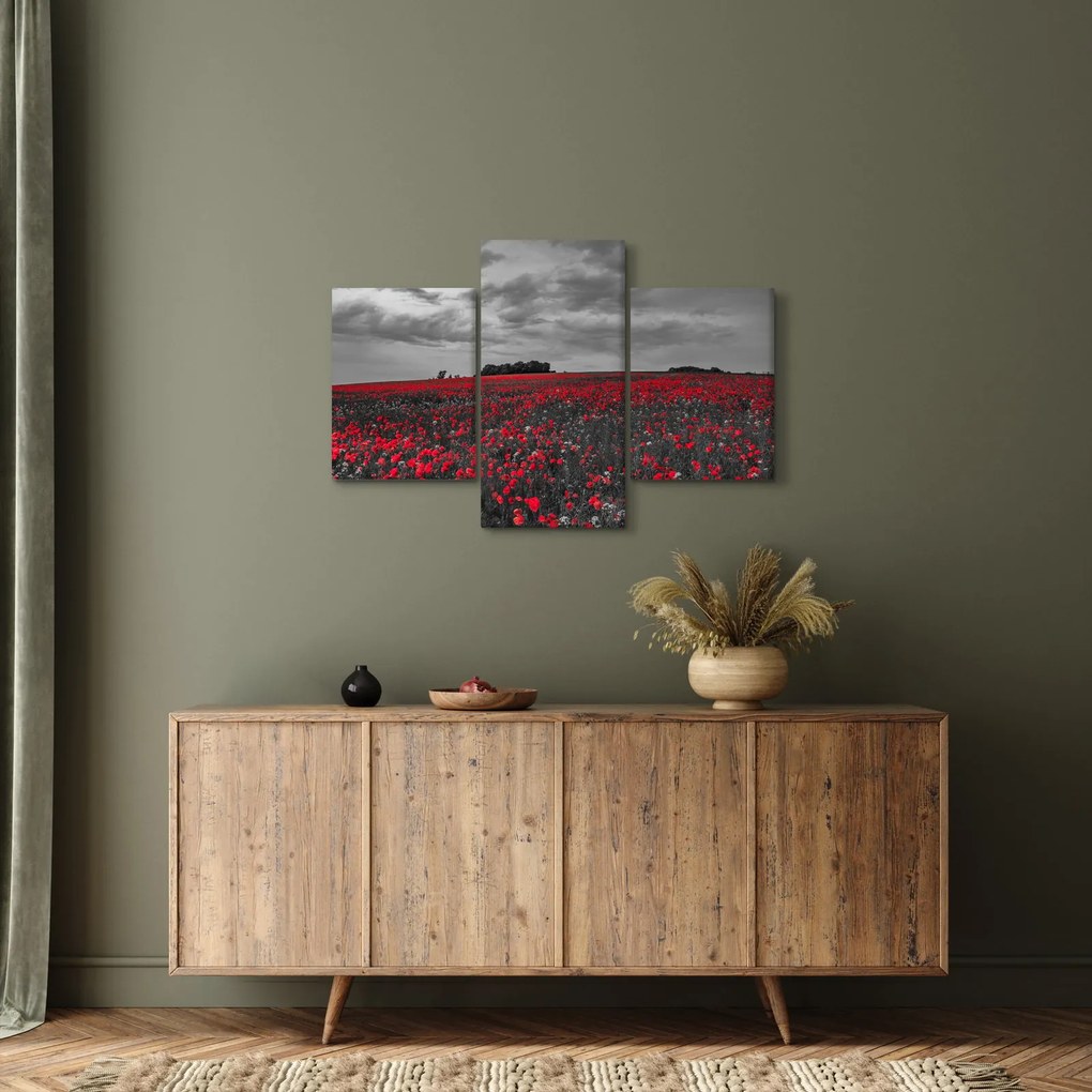 Tablou cu maci (90x60 cm)