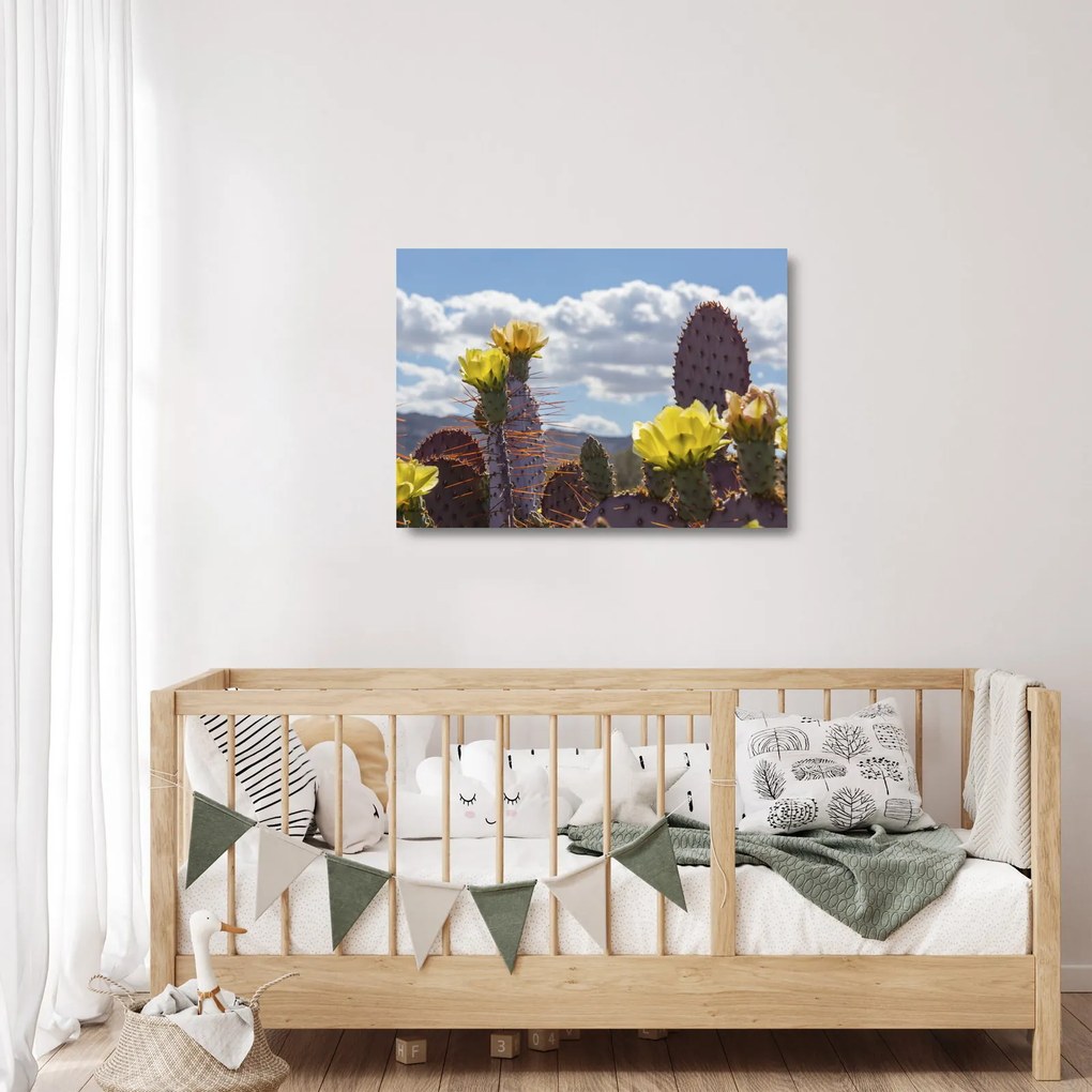 Tablou pe sticlă cu floarea de cactus Opunție (70x50 cm)