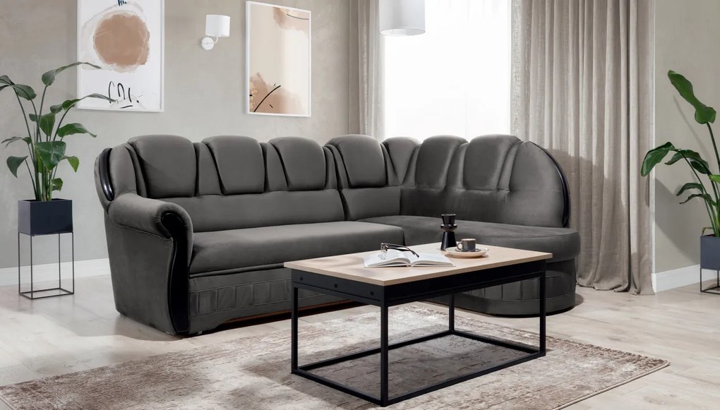 Coltar extensibil Lord pe dreapta Nube 5