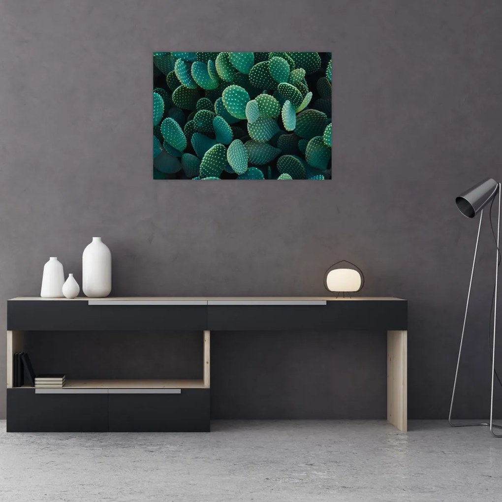 Tablou pe sticlă - Opuntia (70x50 cm)