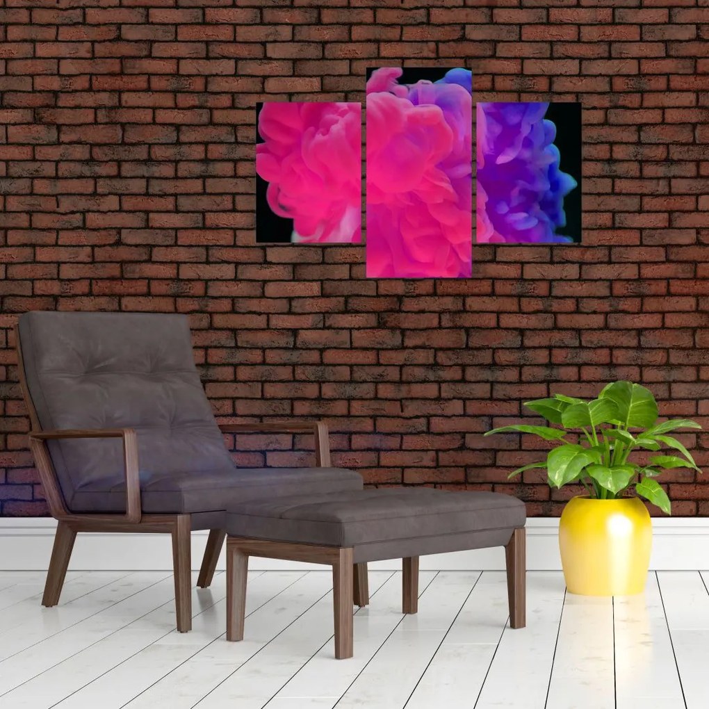 Tablou cu fum colorat (90x60 cm)