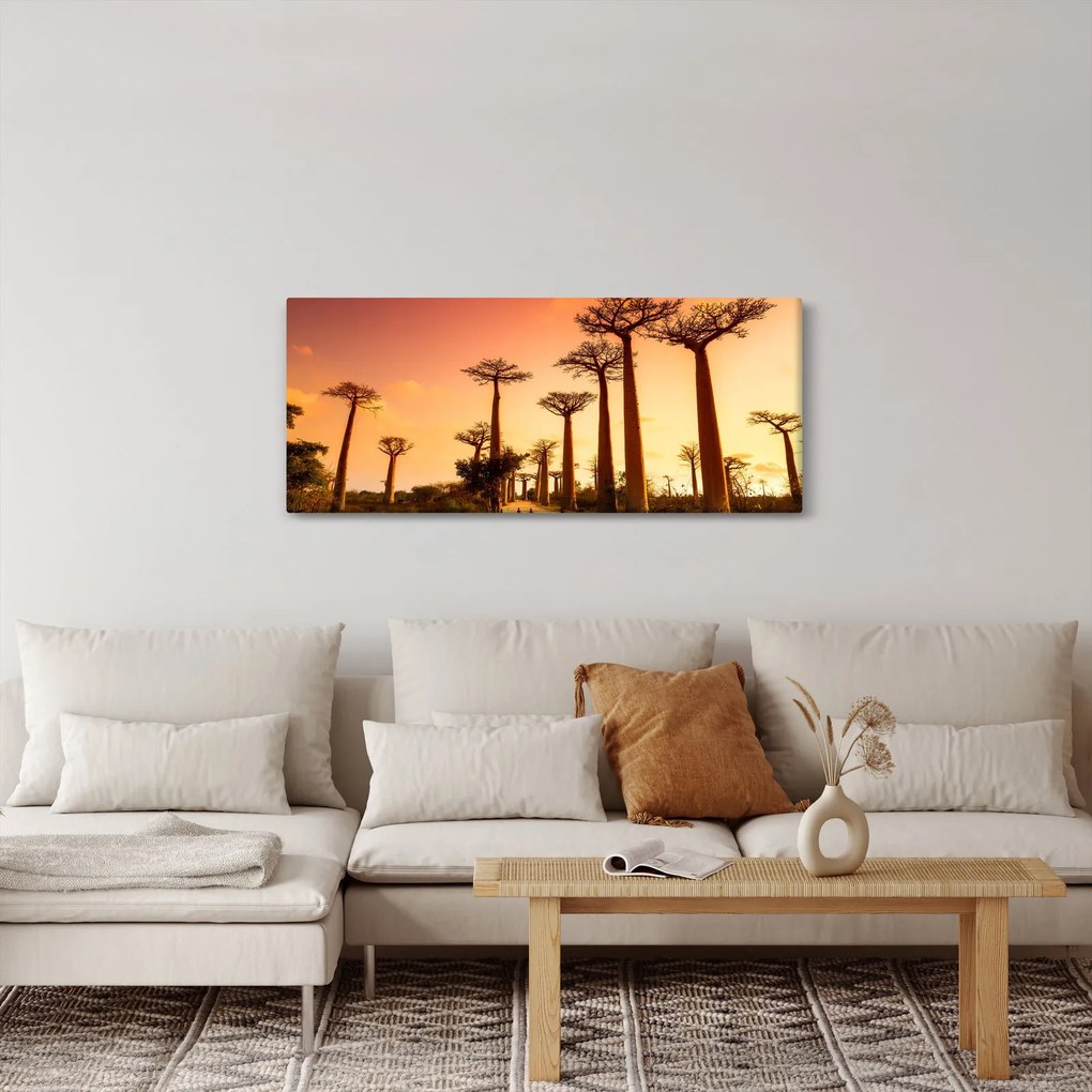 Tablou - Apus de soare pe Aleea Baobabilor (120x50 cm)