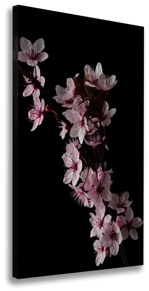 Tablou pe pânză canvas Flori de cireș