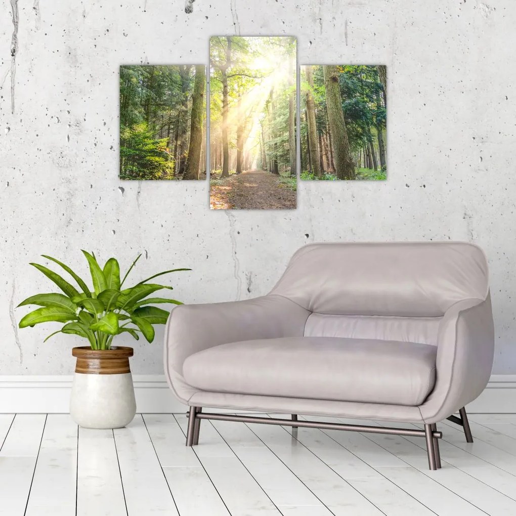 Tablou - Poteci în pădure (90x60 cm)