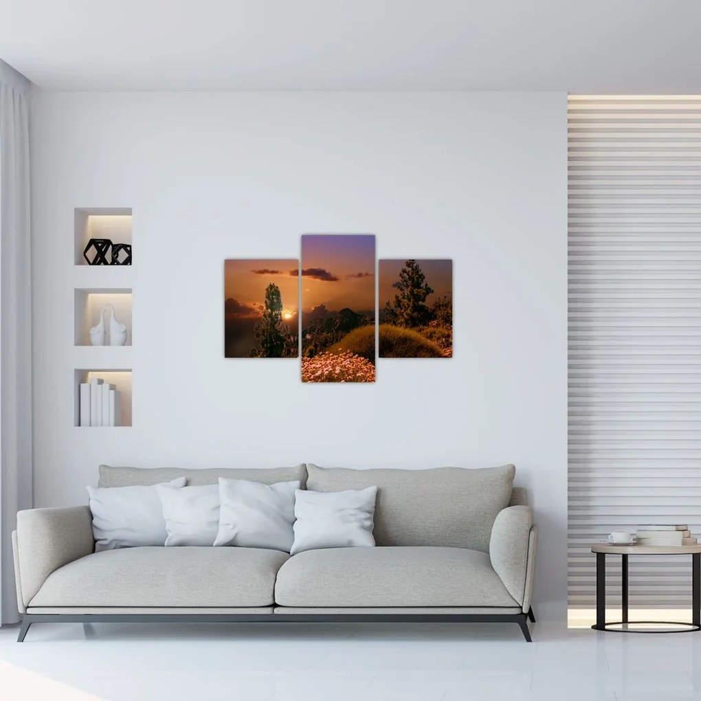 Tablou naturii cu apus de soare (90x60 cm)
