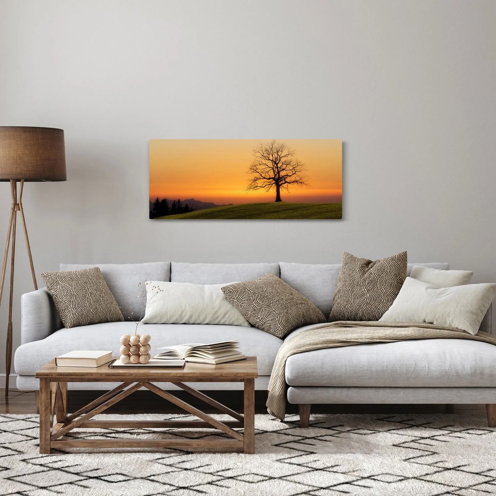 Tablou cu apus de soare pe o luncă (120x50 cm)
