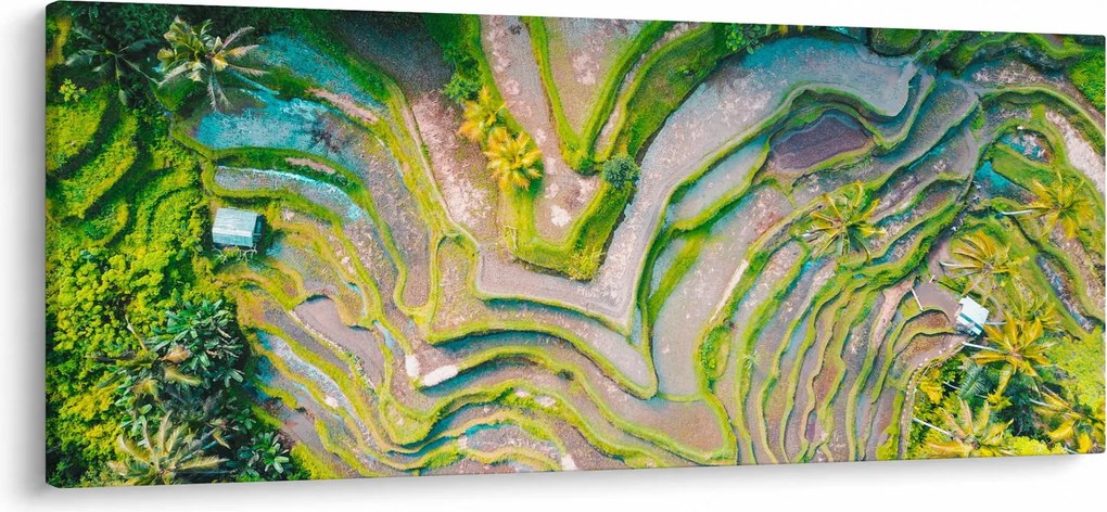 Tablou cu lanuri de orez din privire de sus (120x50 cm)