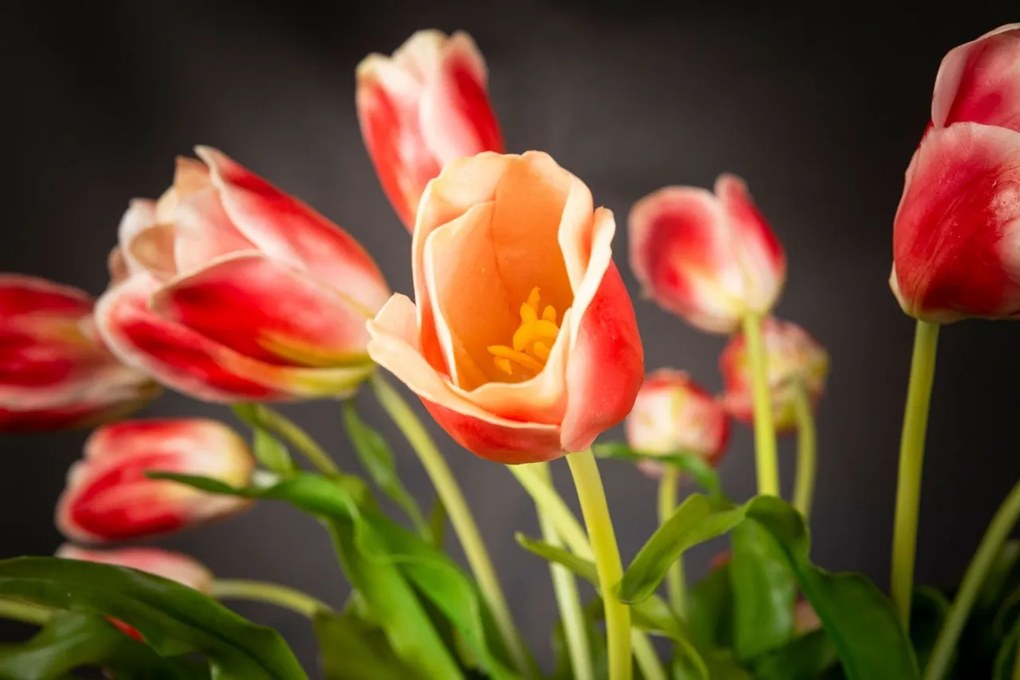 Aranjament floral mediu design LUX FAZZOLETTO TULIP