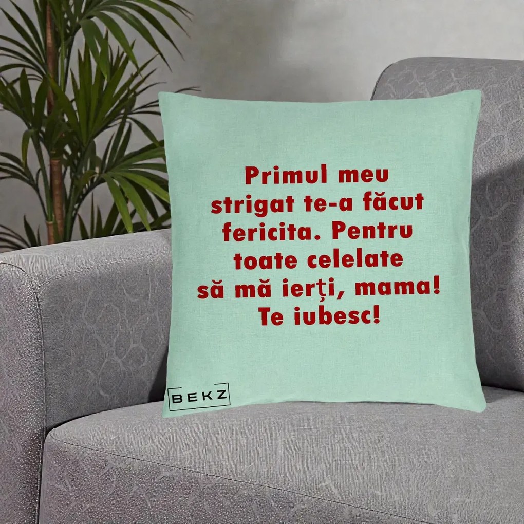 Cadou pentru Mama - Perna Personalizata Primul Strigat Mama, 40x40 cm, Verde Menta, Husa Detasabila, Perna Inclusa, BEKZ®
