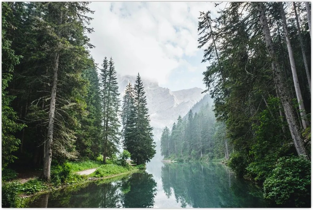 Tablou lacului în pădure (90x60 cm)