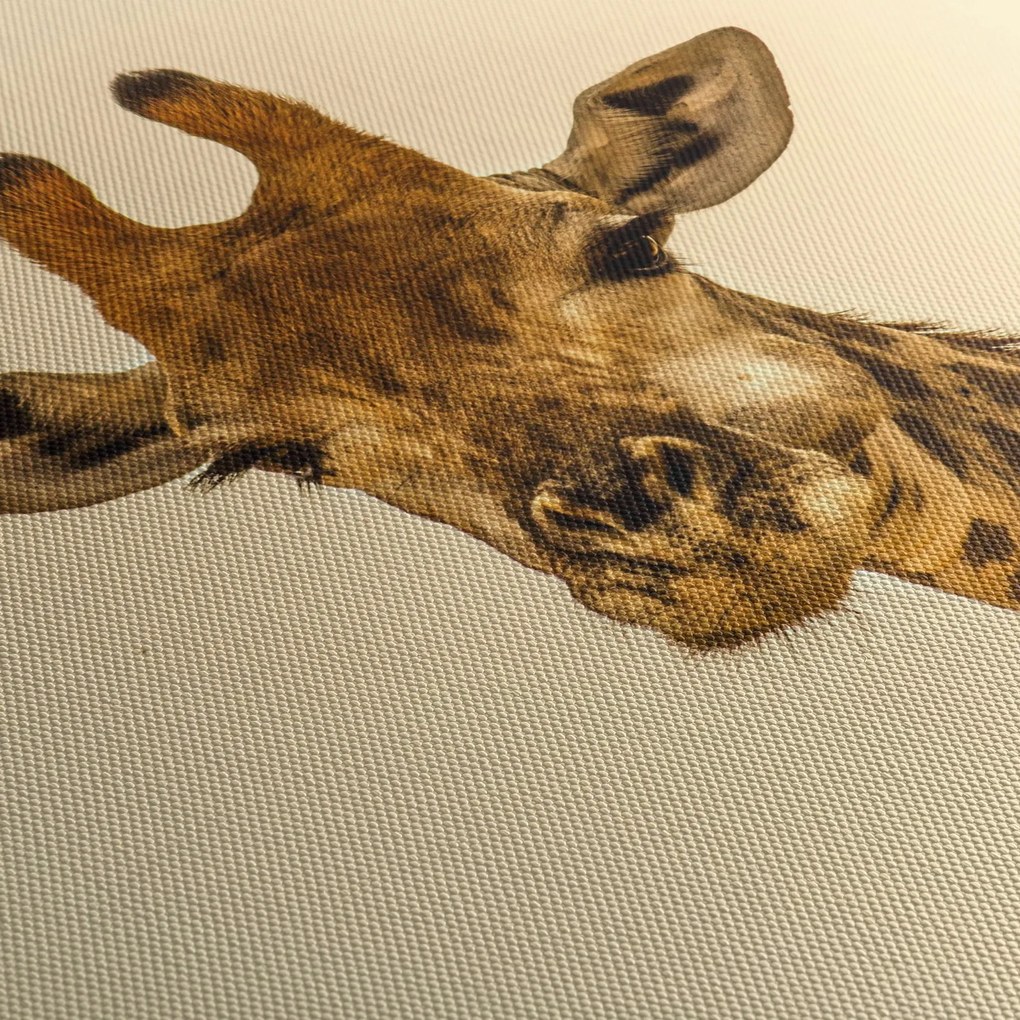Tablou cu girafe (120x50 cm)