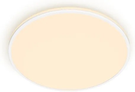 Plafonieră LED dimabilă OZZIET SCENE SWITCH LED/22W/230V 2700K Philips