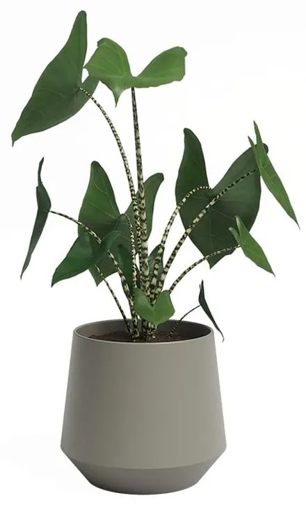 Ghiveci din ceramică ø 20 cm Aurora – Artevasi