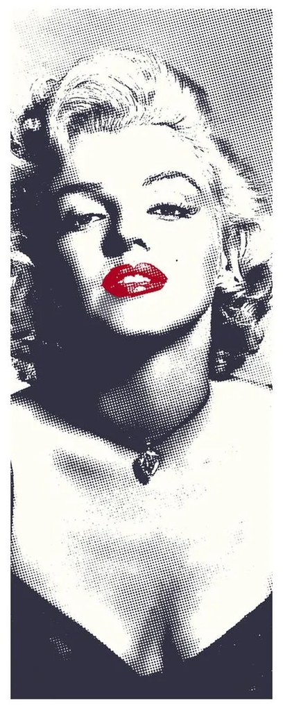 Fotojaluzele R014371R57150 (57x150 cm)