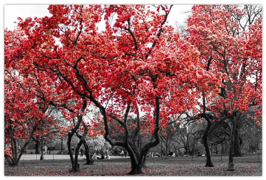 Tablou - Copacii roșii, Central Park, New York (90x60 cm)
