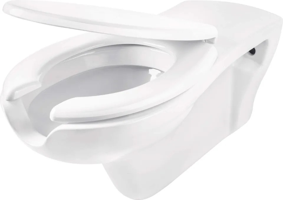 Vital Vas de WC, cu capac, pentru persoane cu mobilitate redusă Finisaj: Alb CDVD6WPW