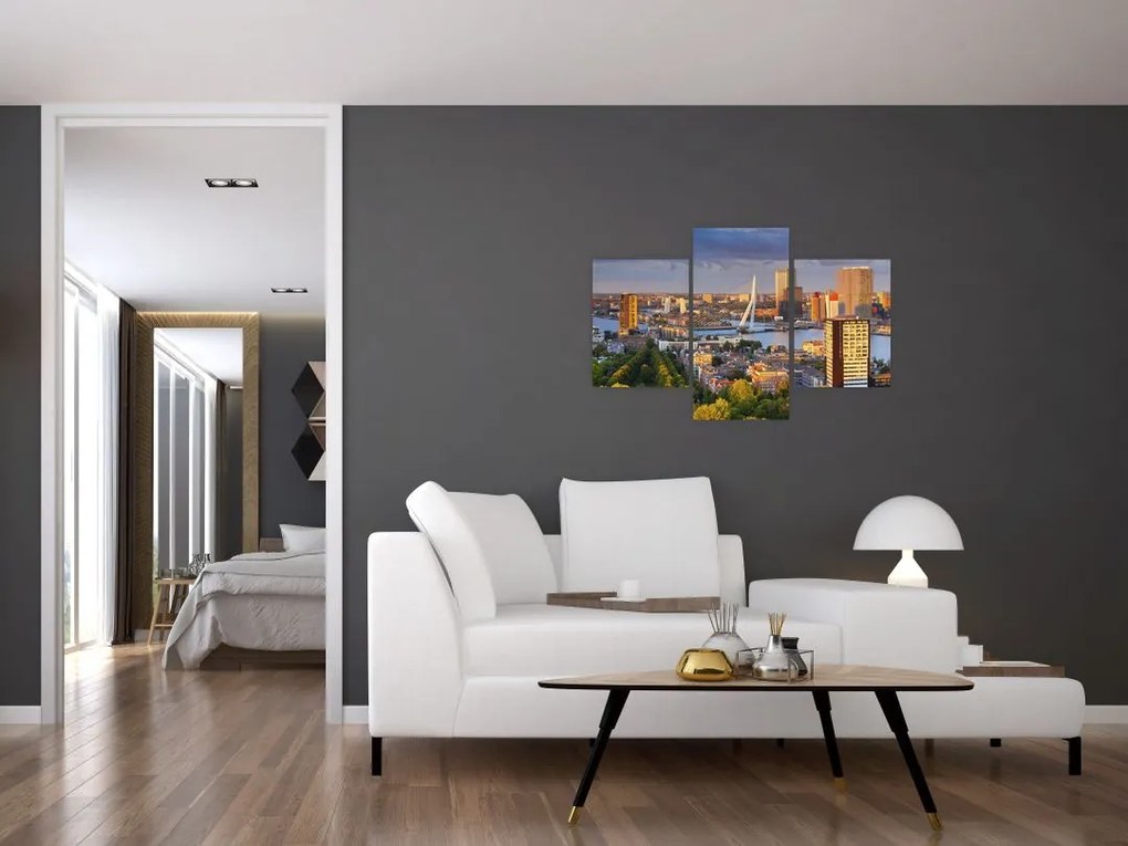 Tablou - Panorama Rotterdamului, Țările de Jos (90x60 cm)