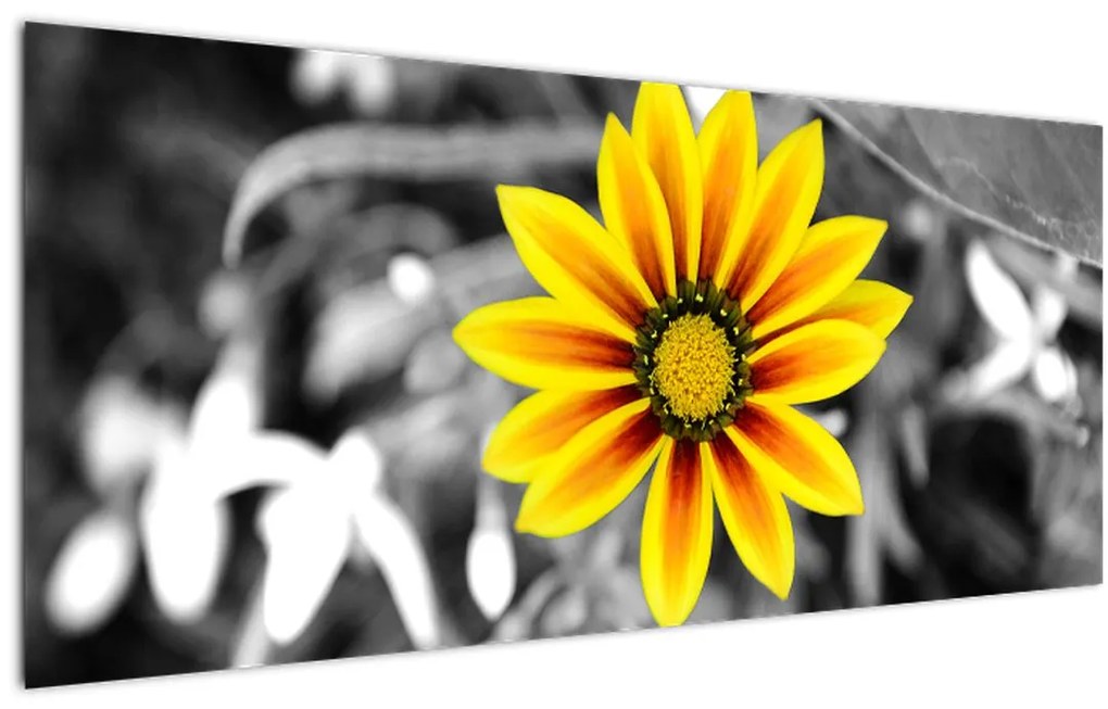 Tablou cu floare galbenă (120x50 cm)