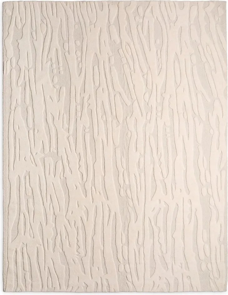 Covor design LUX Zenon 300x400cm