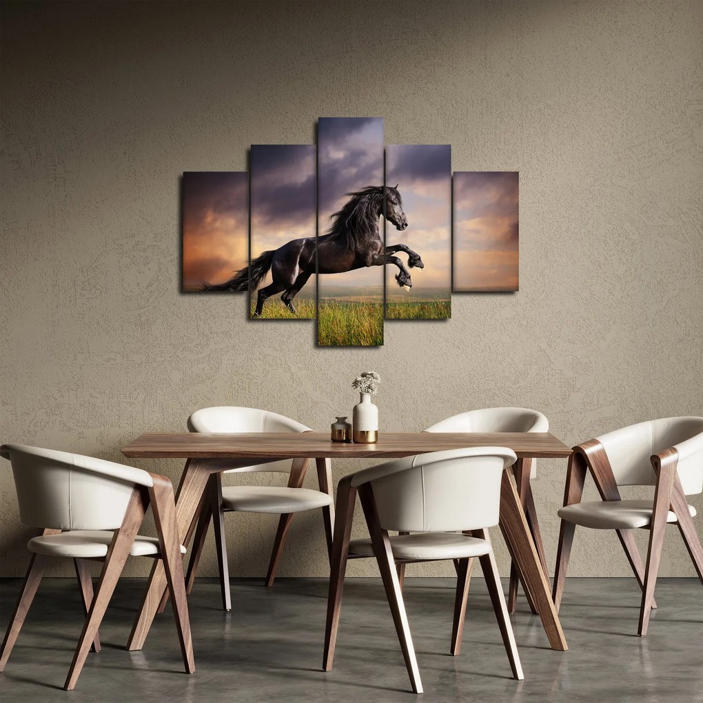 Tablou - Cai (150x105 cm)