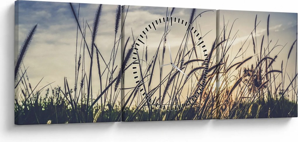 Tablou cu flori de câmp (cu ceas) (90x30 cm)