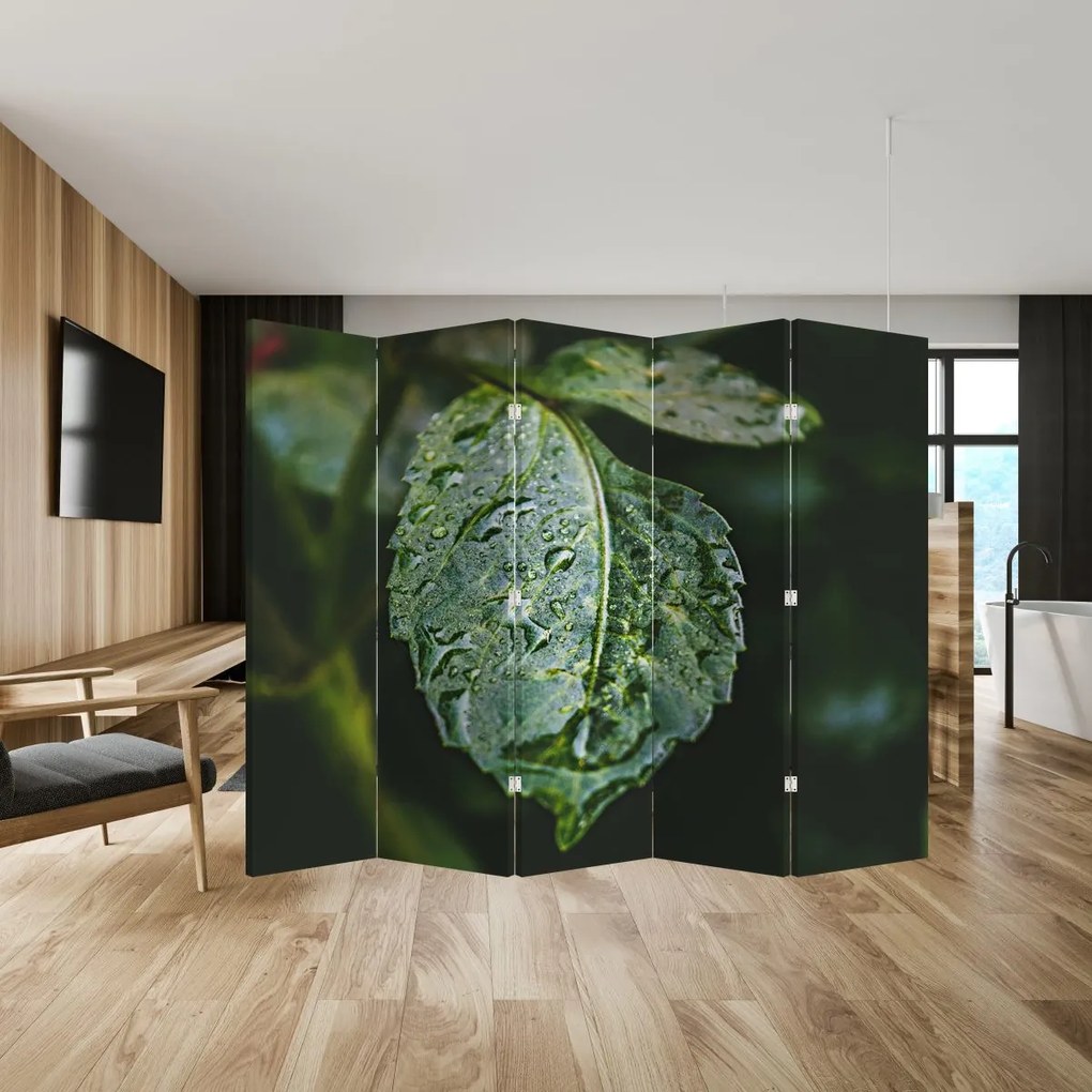 Paravan - Picături pe frunză (210x170 cm)