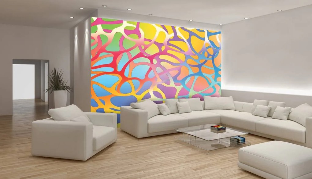 Fototapet - Ornament abstract (152,5x104 cm)