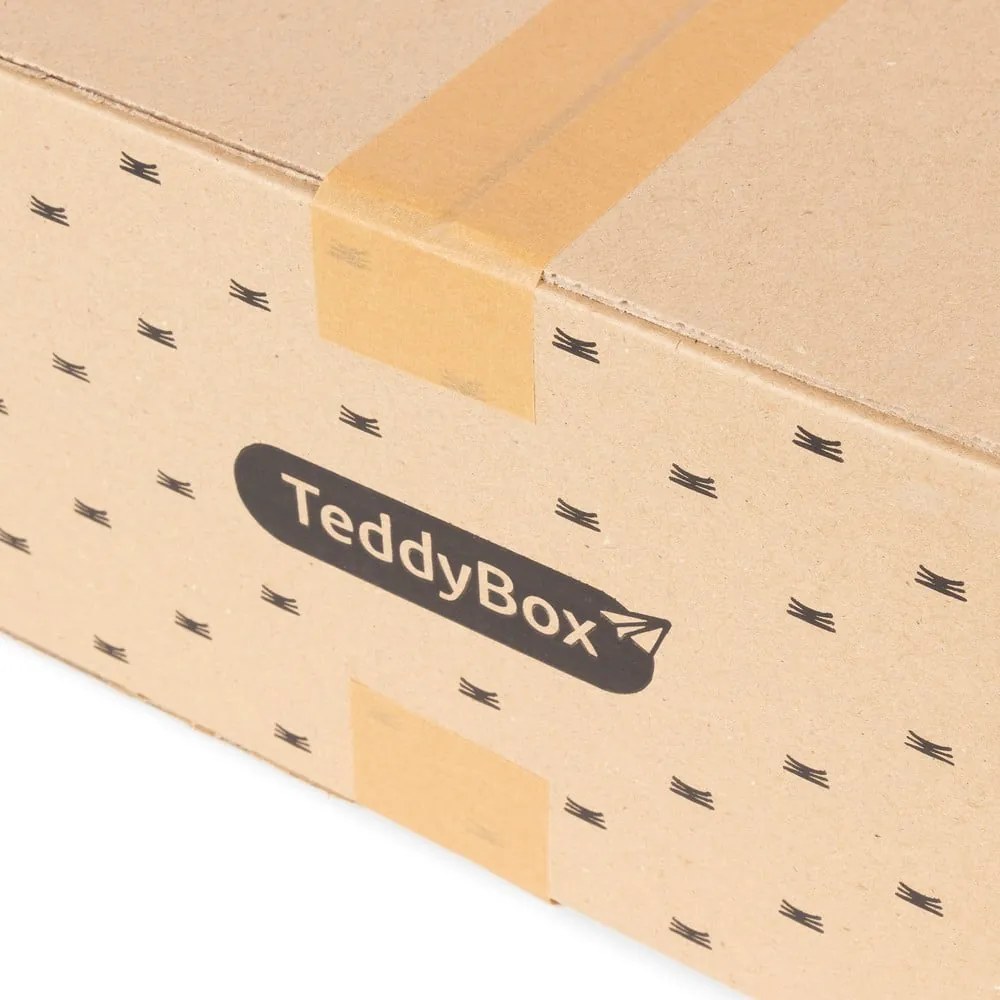 Set de 3 cutii de depozitare bej Compactor Teddy, 35 x 15 cm