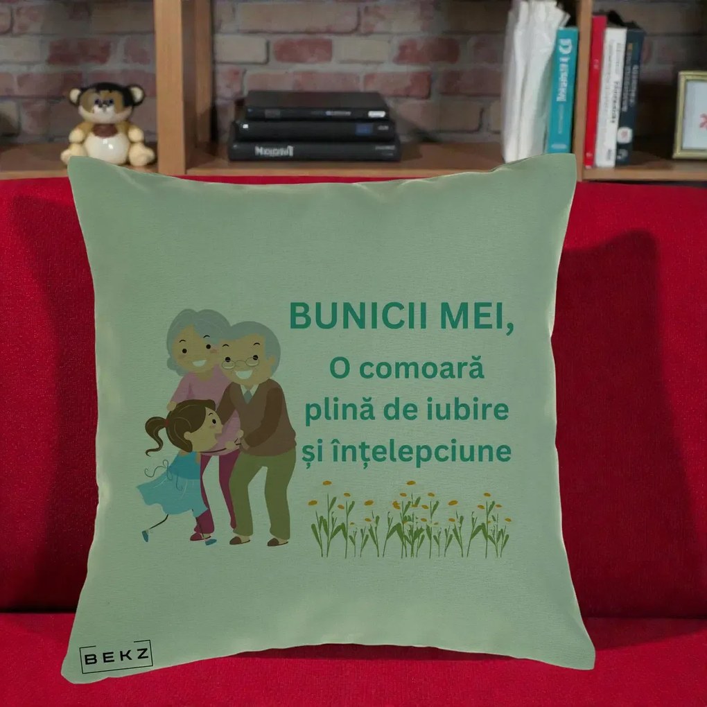 Cadou pentru Bunici - Perna Personalizata Bunicii Mei Comoara Iubire Intelepciune Nepoata, 40x40 cm, Verde, Husa Detasabila, Perna Inclusa, BEKZ®