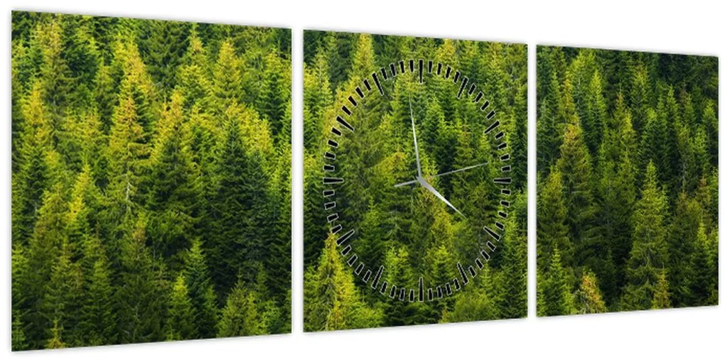 Tablou - Pădure deasă (cu ceas) (90x30 cm)