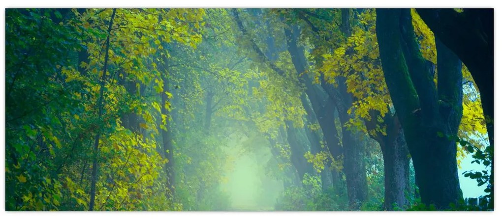 Tablou cu drum dea lungul cu copaci (120x50 cm)