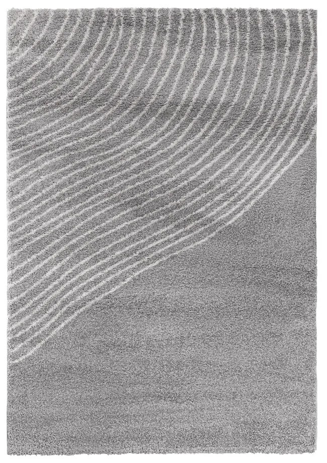 Covor gri 160x230 cm Coastalina – Bonami Selection