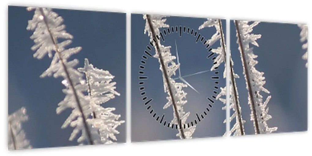 Tablou - Îngheț (cu ceas) (90x30 cm)