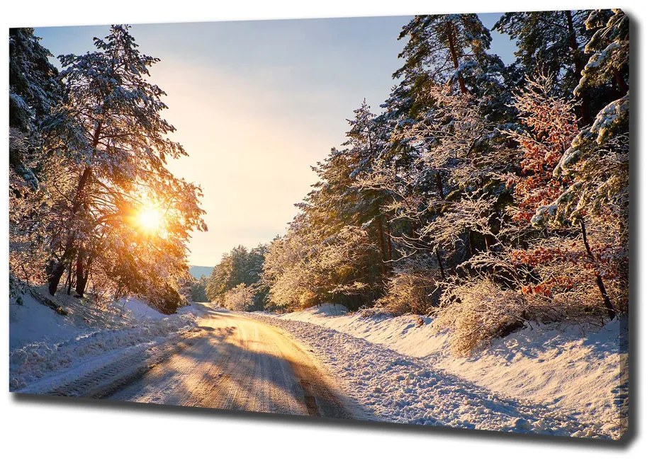 Print pe canvas Drumul în pădure de iarnă