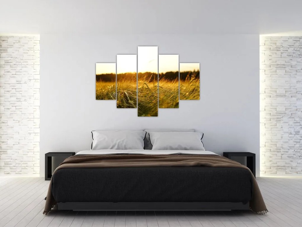 Tablou iarba cu rouă (150x105 cm)