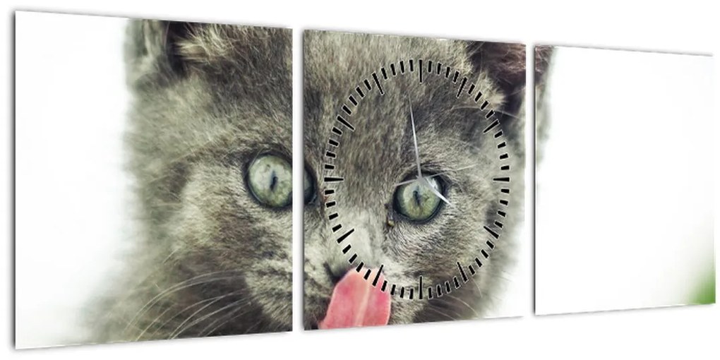 Tablou cu pisicuța lingându-se (cu ceas) (90x30 cm)