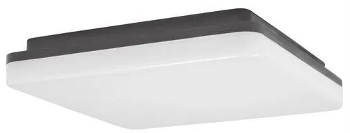 Plafoniera LED de exterior moderna IP54 TOMMY NVL-9521002