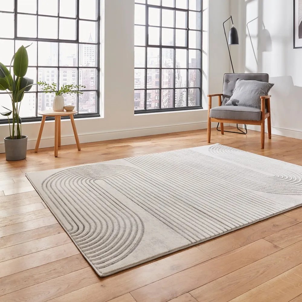 Covor gri/bej 170x120 cm Apollo - Think Rugs