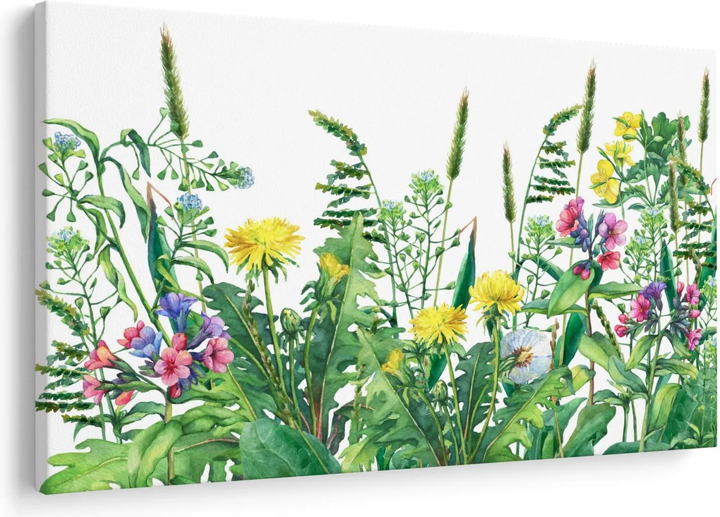 Tablou - Flori de pajiște pictate (90x60 cm)